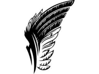  Wings_ 0 0 5 4 Decal Proportional