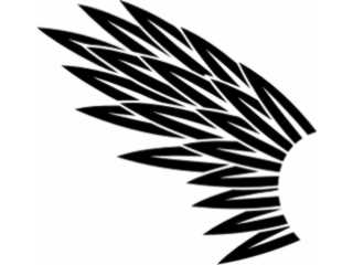  Wings_ 0 0 6 1 Decal Proportional
