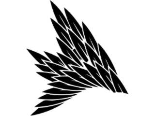  Wings_ 0 0 8 0 Decal Proportional