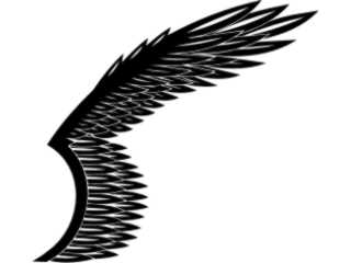  Wings_ 0 1 0 1 Decal Proportional
