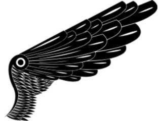  Wings_ 0 1 0 4 Decal Proportional