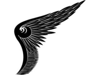 Wings_ 0 1 1 7 Decal Proportional