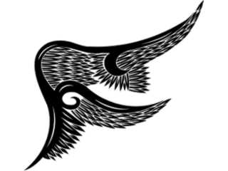  Wings_ 0 1 3 0 Decal Proportional