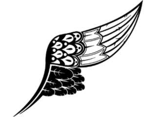 Wings_ 0 1 6 4 Decal Proportional