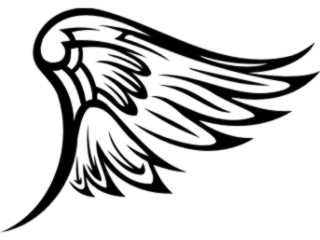  Wings_ 0 1 7 0 Decal Proportional