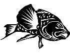  Bass Fish 1 4 0 V A 1 Decal