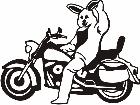  Bunny On A Bike M M 1 Decal