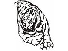  Cats Big Lions Tigers Panthers 0 2 3 Decal