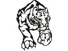  Cats Big Lions Tigers Panthers 0 3 1 Decal