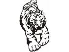  Cats Big Lions Tigers Panthers 0 3 4 Decal