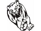  Cats Big Lions Tigers Panthers 0 4 0 Decal