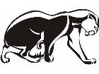  Cats Big Lions Tigers Panthers 0 6 2 Decal