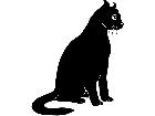  Cats American Curl 1 3 1 V A 1 Decal