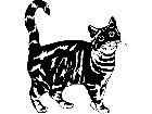  Cats American Tabby 1 3 1 V A 1 Decal