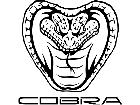  Cobra Mustang Frontal Decal