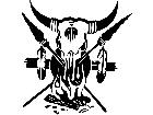  Cow Skull Indian Decal