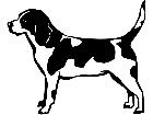  Dogs Beagle 0 2 P A 1 Decal