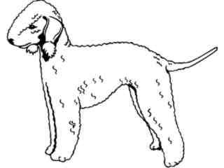  Dogs_ Bedlington Terrier_ 1 3 7_ V A 1 Decal Proportional