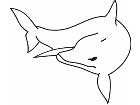  Dolphin 1 2 2a Decal