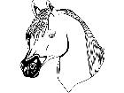  Domestic Animals Horse Head T G P A 1 Decal