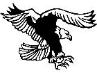  Eagle Bald Coming Down Power Wings Decal