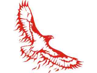 Eagle Body Flaming_ 2 0_ E F 1 Decal Proportional