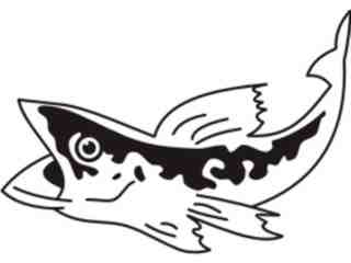  Fish_ 0 0 0 5 Decal Proportional