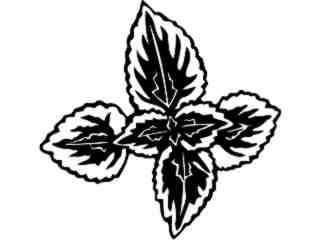  Flowers_ Coleus_ 1 5 6_ V A 1 Decal Proportional
