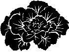 Flowers Flowering Cabbage 1 5 6 V A 1 Decal