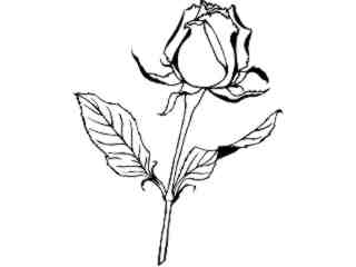  Flowers_ Rose_ 1 5 9_ V A 1 Decal Proportional