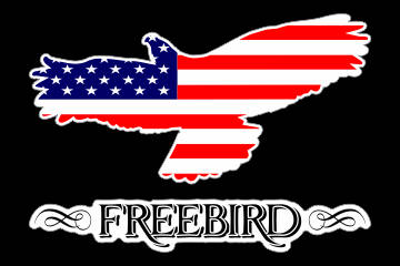 Customize this Freebird_American Flag Decal