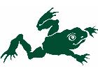  Frog Leap Decal