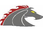  Horse Stang Side G D 1 Decal