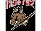  Island Pride Native G D 2 Decal