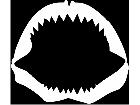  Jaws Shark Teeth Decal