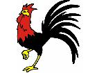  Rooster Proud G D 1 Decal
