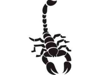  Scorpion Tribalized_ 0 2 4 Decal Proportional