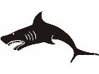  Shark Great White 2 Decal