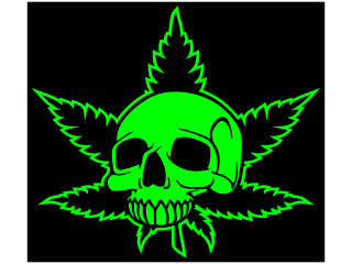  Skull Weed Leaf Marijuana_ I N V Decal Proportional