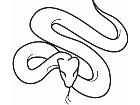  Snake 0 5 4a Decal