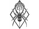  Spider Center Web Decal