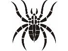  Spider Tribal 0 6 8 Decal