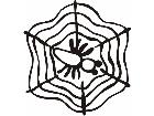  Spider Web Cartoon Decal