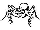  Spider 0 4 1 V A 1 Decal