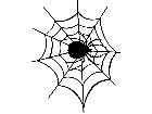  Spiderin Web Decal