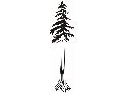  Trees Redwood 1 5 8 V A 1 Decal