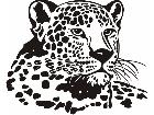  Wild Animals Leopard P A 1 Decal