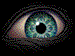 eyeball decal