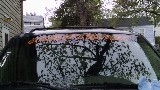 Customers Ride