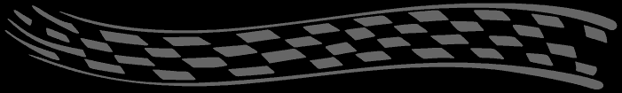 checker flag graphic divider